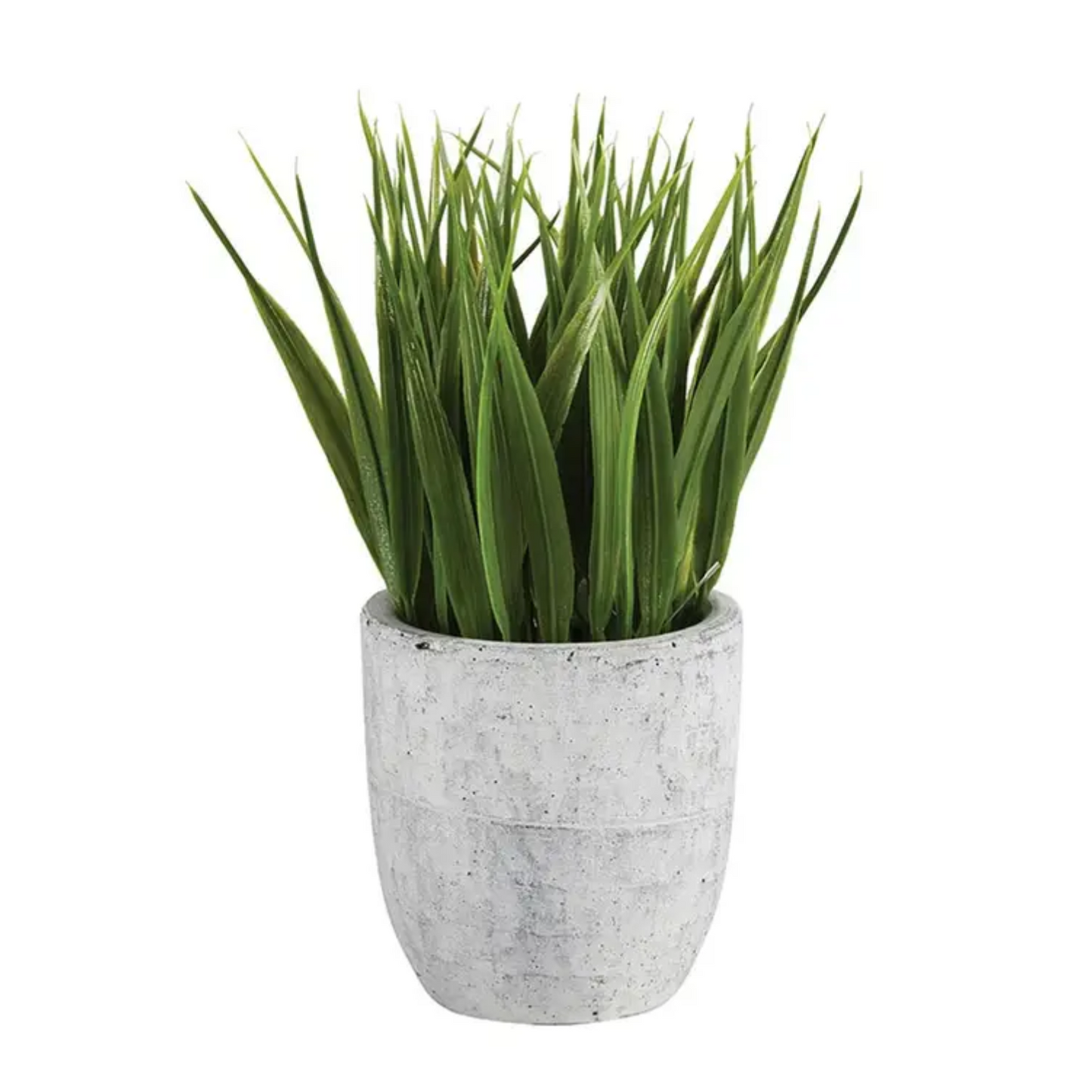 Grass in Cement Pot