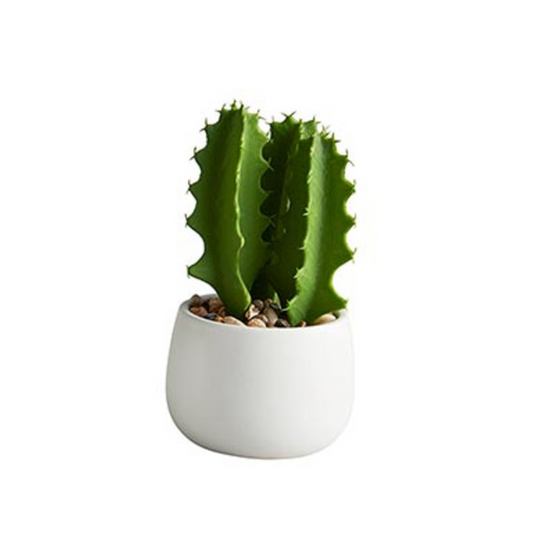 Faux Cactus Potted Plant