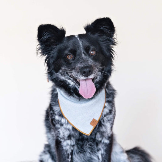 Upcycled Denim Dog Bandana