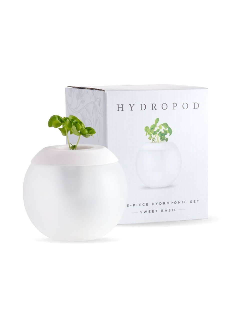 The Hydropod Sweet Basil