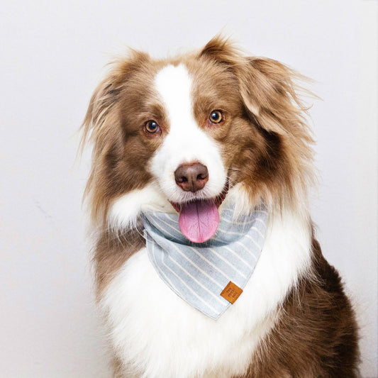 Upcycled Denim Stripe Dog Bandana